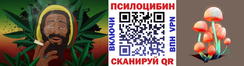 Псилоцибиновые грибы мицелий  Купить  Новый Оскол 